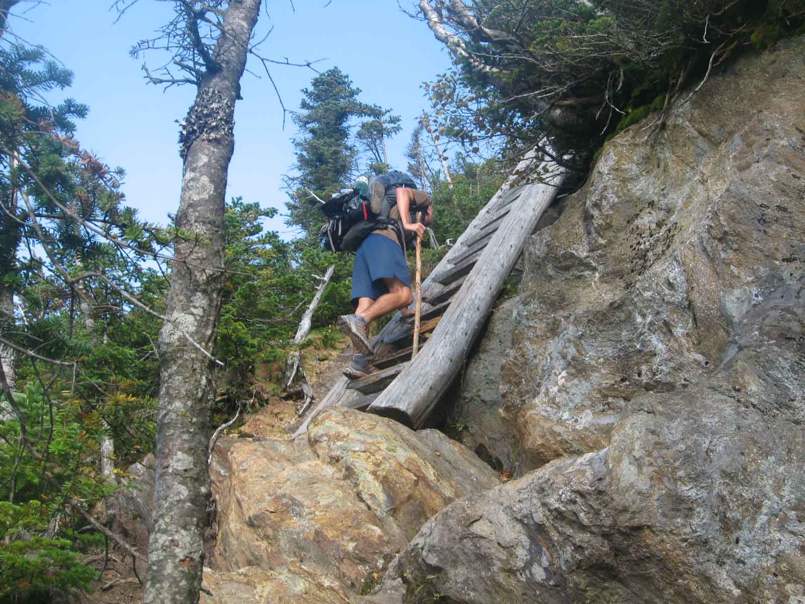 Turok climbing stairs up a steep climb.